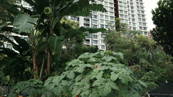 skyline-i-@-bukit-batok photo thumbnail #1